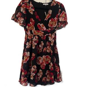 NWT Madewell Floral Dress (00)